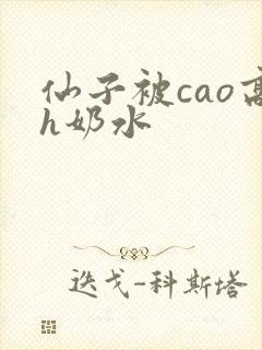 仙子被cao高h奶水