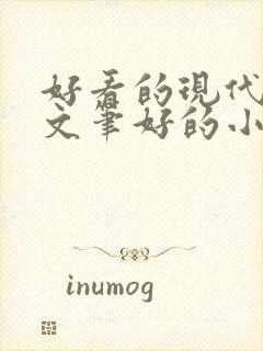 好看的现代言情文笔好的小说