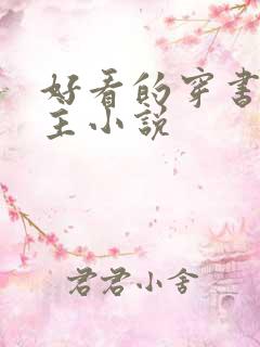 好看的穿书双男主小说