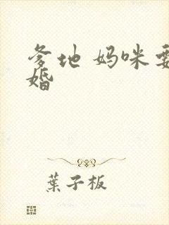 爹地 妈咪要逃婚