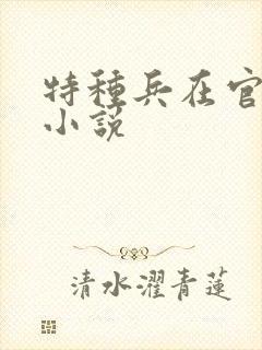 特种兵在官场的小说