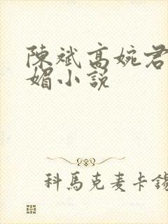 陈斌高婉君赵心媚小说