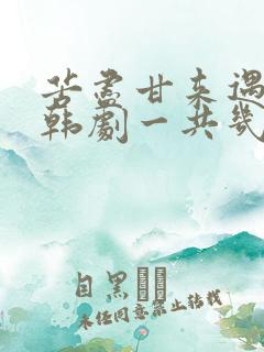 苦尽甘来遇见你韩剧一共几集