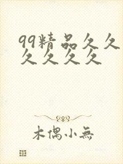 99精品久久久久久久久