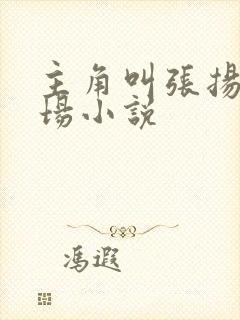 主角叫张扬的官场小说