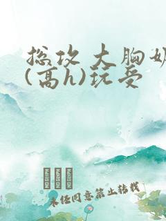 总攻 大胸奶汁(高h)玩受