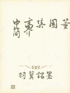 中高集团董事长简介