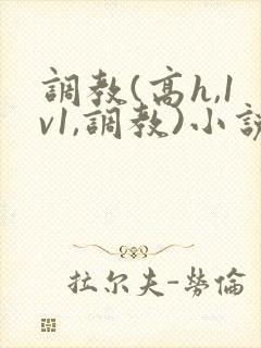 调教(高h,1v1,调教)小说
