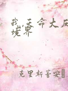 我,天命大反派境界