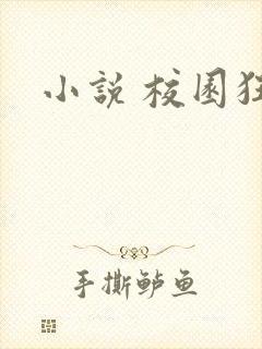 小说 校园狂少
