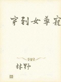 穿到女尊宠夫郎