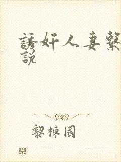 诱奸人妻系列小说