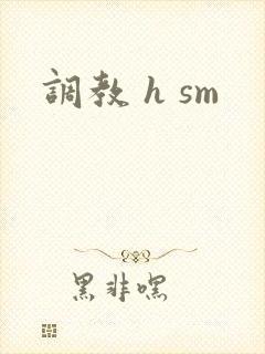 调教 h sm