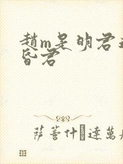 赵m是明君还是昏君