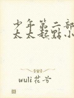 少年第二部房东太太起点小说在线收