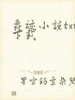 爵迹小说txt下载