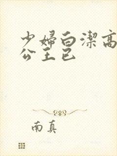 少妇白洁高义公公王已
