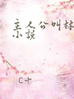 主人公叫林初的小说