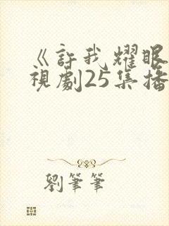 《许我耀眼》电视剧25集播放