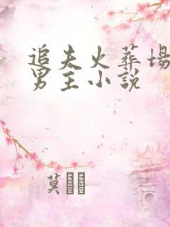 追夫火葬场的双男主小说