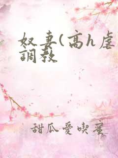 奴妻(高h虐身调教