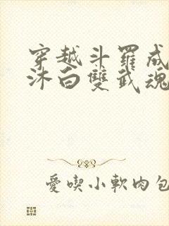 穿越斗罗成为戴沐白双武魂的小说