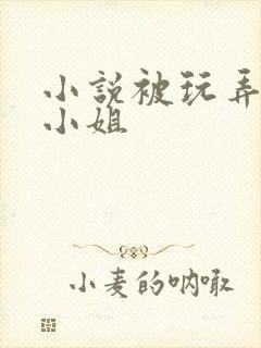 小说被玩弄的大小姐