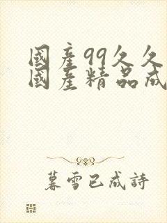 国产99久久久国产精品成人