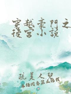 穿越豪门之娱乐后宫小说