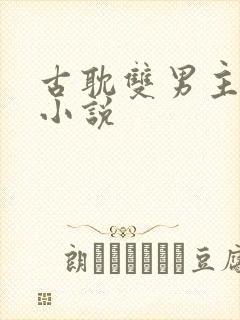 古耽双男主生子小说