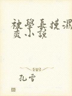 被学长摸湿奶好爽小说