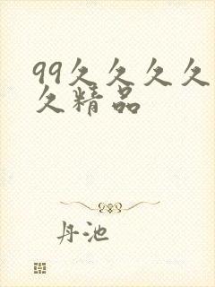 99久久久久久久精品