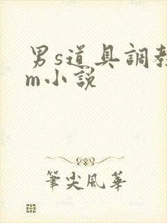 男s道具调教女m小说