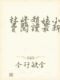 林峰赵姨小说免费阅读最新章节