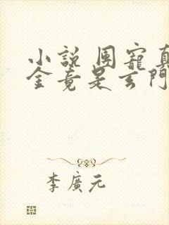 小说 团宠真千金竟是玄门大佬