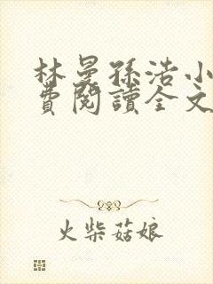 林曼孙浩小说免费阅读全文最新章节