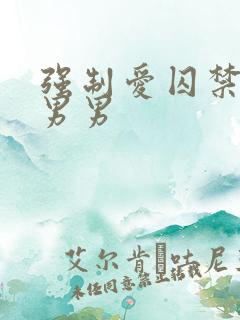 强制爱囚禁调教男男