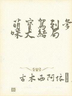 萌宝驾到爹地妈咪大结局