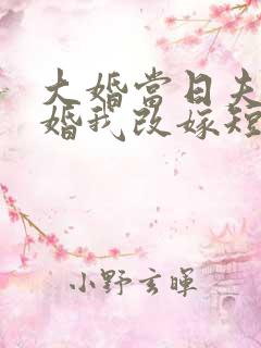 大婚当日夫君逃婚我改嫁短剧免费看