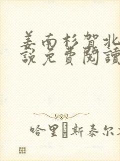 姜南杉贺北铮小说免费阅读最新章节