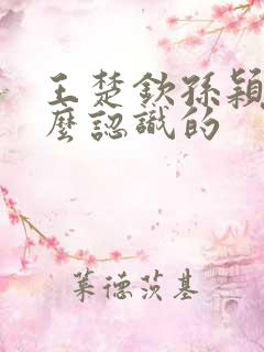 王楚钦孙颖莎怎么认识的