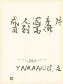 成人国产片女人爽到高潮