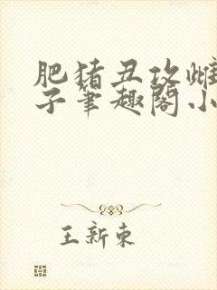 肥猪丑攻雌堕生子笔趣阁小说父子