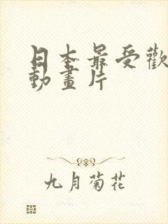 日本最受欢迎的动画片