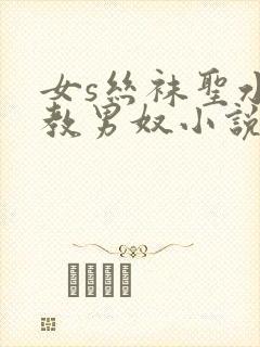 女s丝袜圣水调教男奴小说