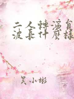 二人转演员张晓波长什么样