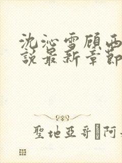 沈沁雪顾西朝小说最新章节免费阅读