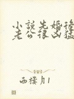 小说先婚后爱:老公很凶猛txt下载