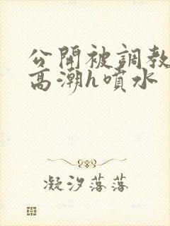 公开被调教当众高潮h喷水