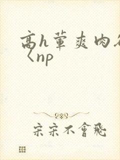 高h荤爽肉欲文〈np